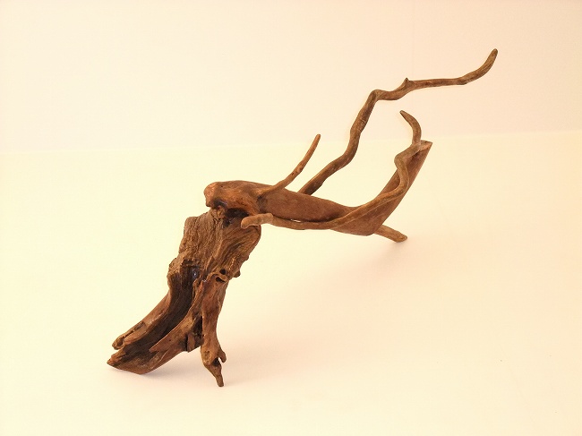 激安直営通販サイト Wood インテリア オブジェ 流木 Statue Dance アート/写真